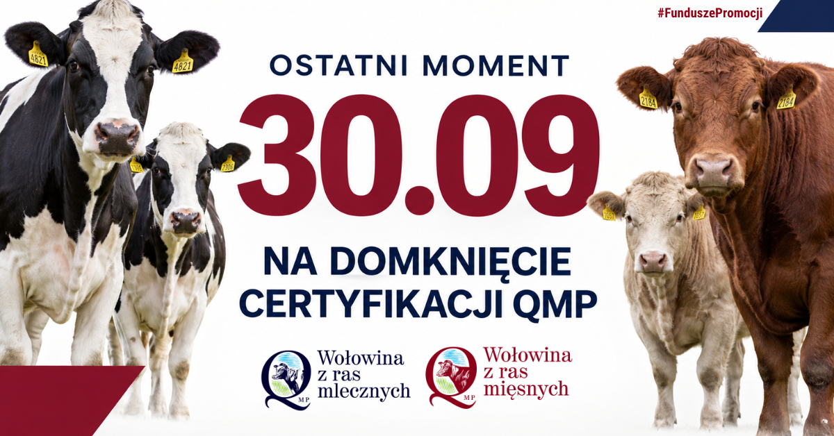 Zdjęcie: Certyfikat QMP