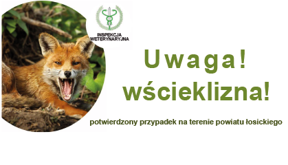 Zdjęcie: Uwaga wścieklizna!