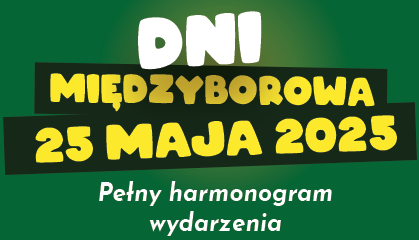 Zdjęcie: DNI MIĘDZYBOROWA