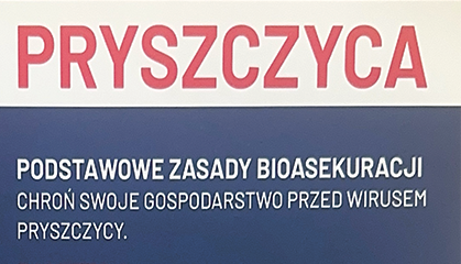 Zdjęcie: Przyszczyca