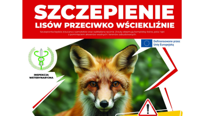 Zdjęcie: Szczepienie lisów